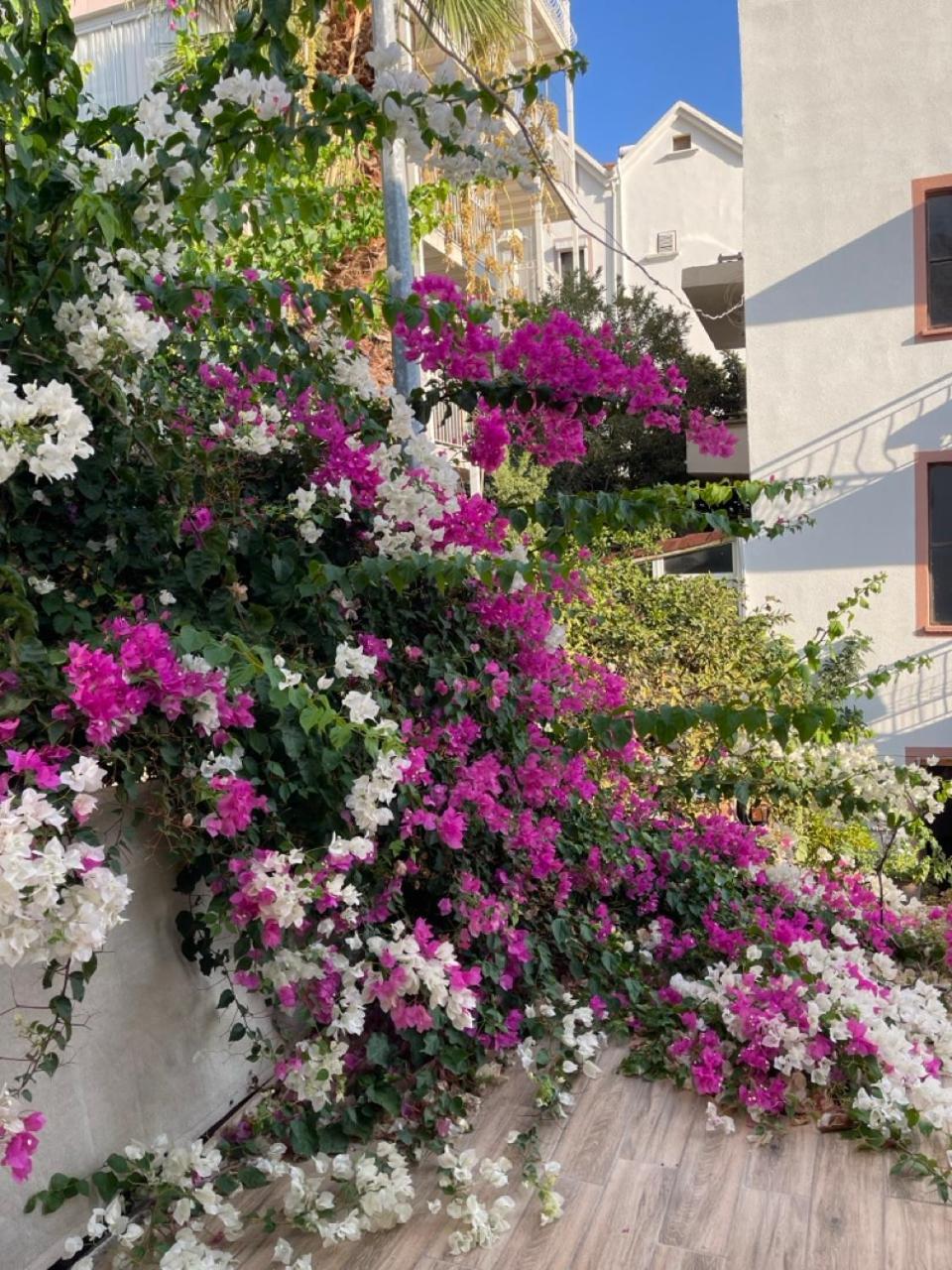 Paydos Pansiyon Kaș Exterior foto